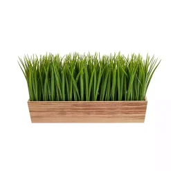 Outlet Vanilla Grass in Rustic Wood Planter Arrangements & Greenery