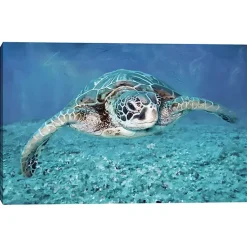 Kirklands Home Canvas Art|Vibrant Sea Turtle Canvas Art Print