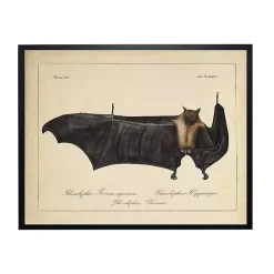 Hot Vintage Black Bat Halloween Wall Plaque Halloween