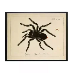 Outlet Vintage Black Spider Halloween Wall Plaque Halloween