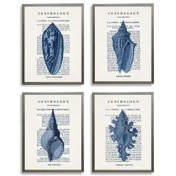 Kirklands Home Framed Art|Vintage Blue Shells Framed Art Prints, Set of 4