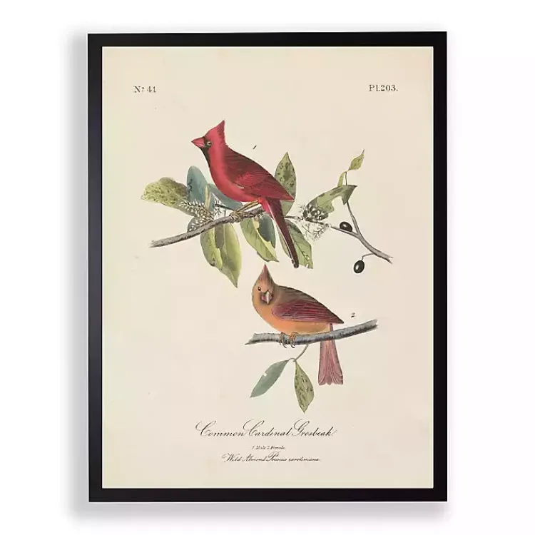 Kirklands Home Framed Art|Vintage Cardinal Birds Framed Art Print