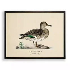 Kirklands Home Framed Art|Vintage Common Teal Duck Framed Art Print