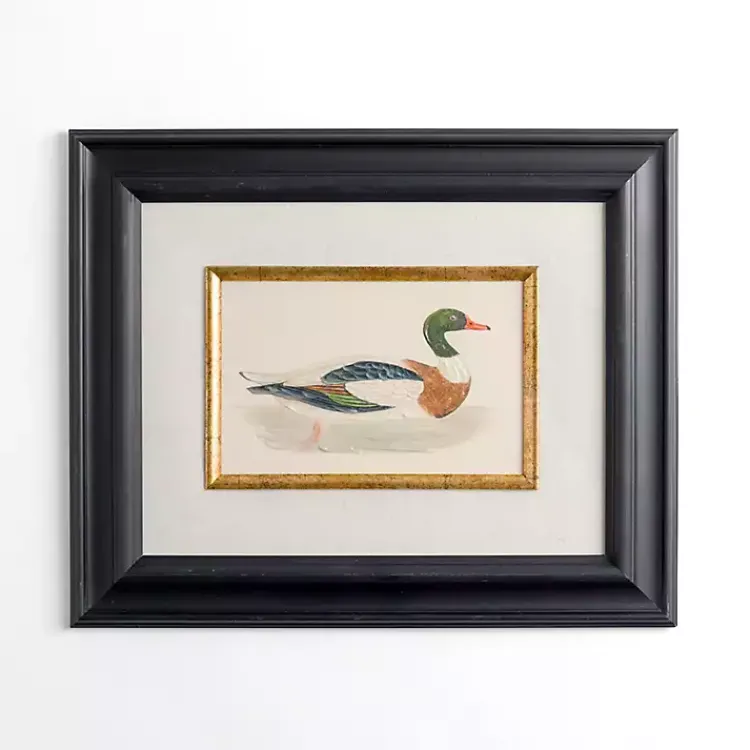 Kirklands Home Framed Art|Vintage Duck Framed Art Print Multi