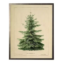 Online Vintage Fir Tree Framed Art Print Christmas Art & Wall Decor