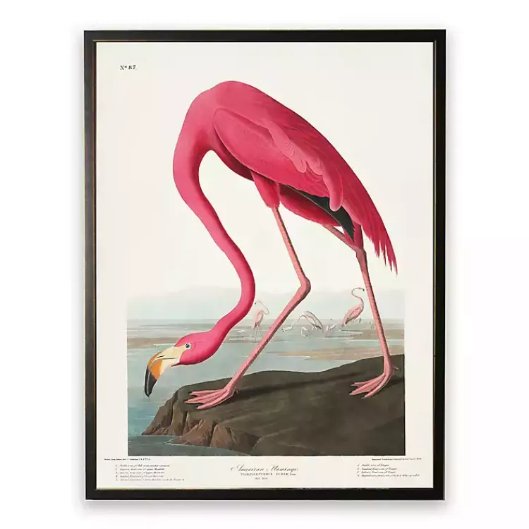Kirklands Home Framed Art|Vintage Flamingo Bookplate Framed Art Print