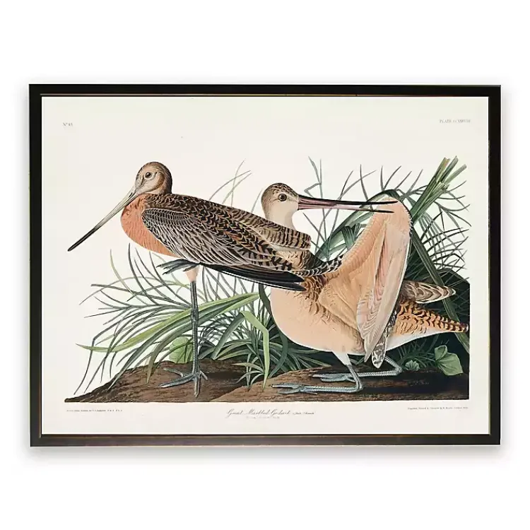 Kirklands Home Framed Art|Vintage Great Marbled Godwit Framed Art Print