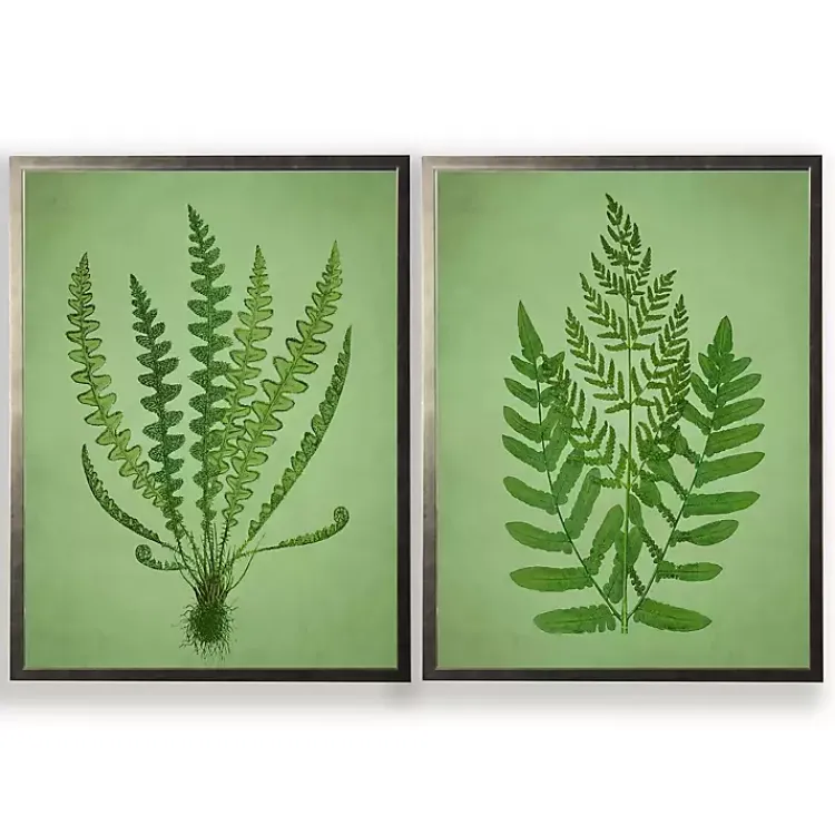 Kirklands Home Framed Art|Vintage Ferns II Framed Art Prints, Set of 2 Green