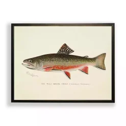 Kirklands Home Framed Art|Vintage Male Book Trout Framed Art Print