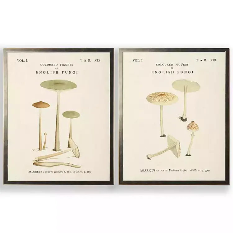 Kirklands Home Framed Art|Vintage Mushrooms I Framed Art Prints, Set of 2