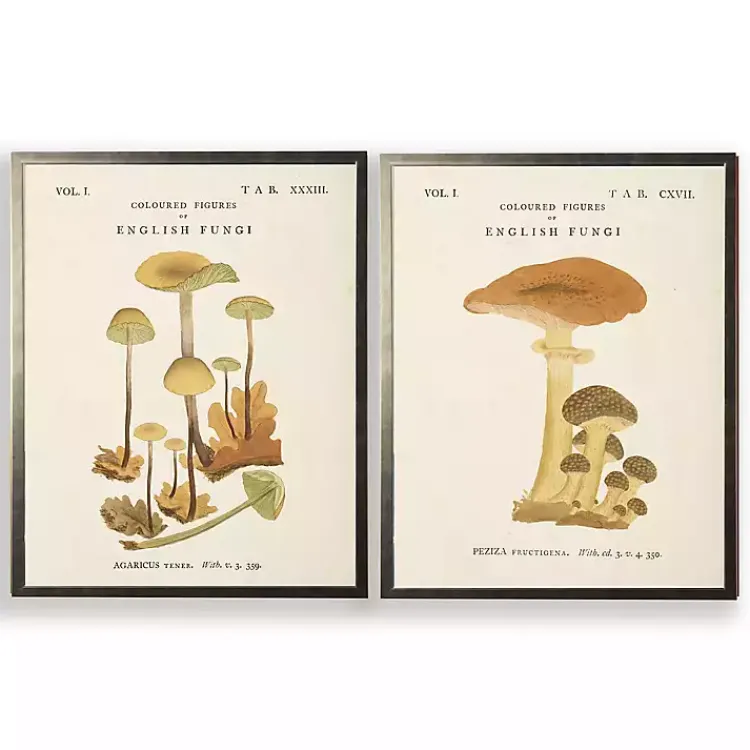 Kirklands Home Framed Art|Vintage Mushrooms II Framed Art Prints, Set of 2