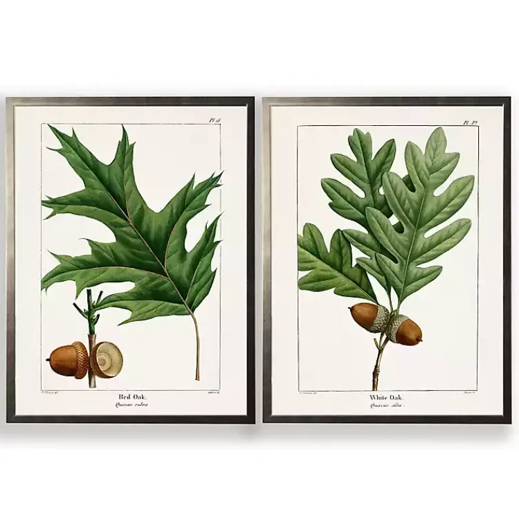 Kirklands Home Framed Art|Vintage Oak Leaves Framed Art Prints, Set of 2