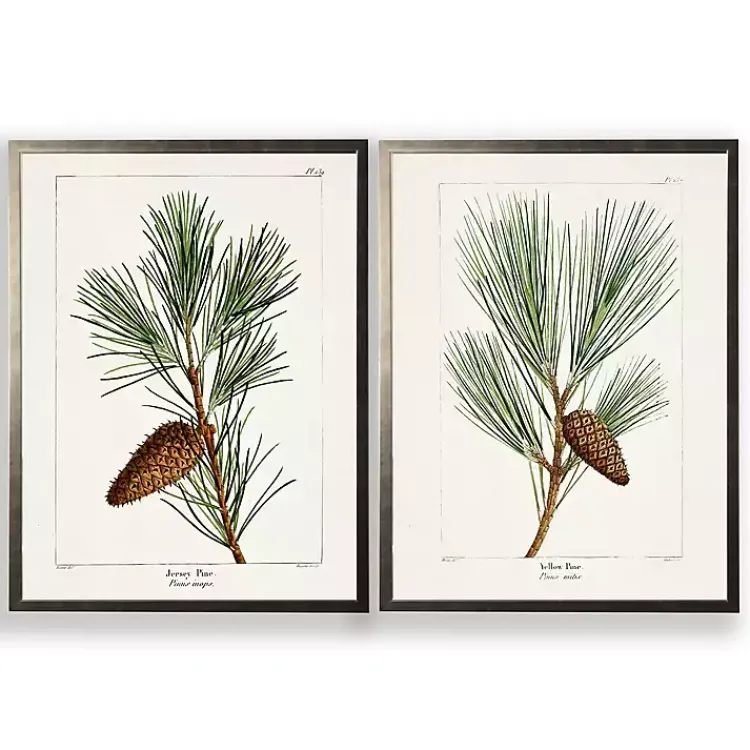 Kirklands Home Framed Art|Vintage Pine Leaves Framed Art Prints, Set of 2