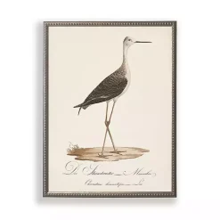 Kirklands Home Framed Art|Vintage Waterbird Facing Right Framed Art Print