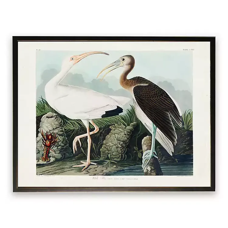 Kirklands Home Framed Art|Vintage White Ibis Pair Framed Art Print