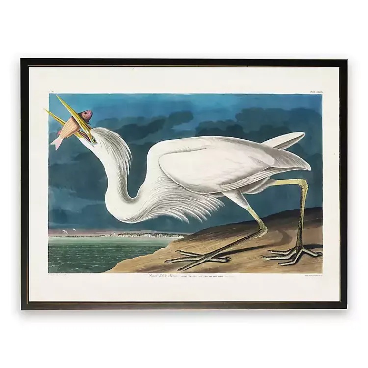 Kirklands Home Framed Art|Vintage White Pelican With Fish Framed Art Print