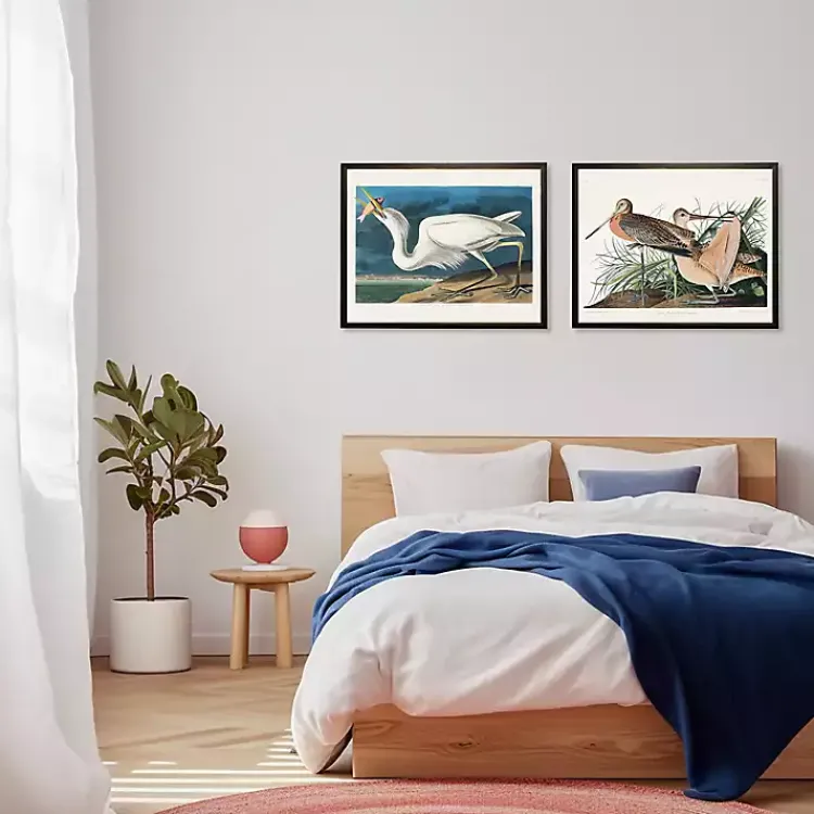 Kirklands Home Framed Art|Vintage White Pelican With Fish Framed Art Print