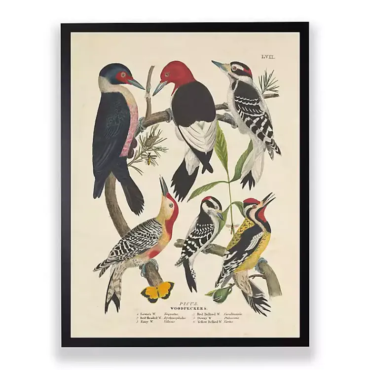 Kirklands Home Framed Art|Vintage Woodpecker Birds Framed Art Print