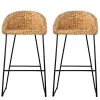 Kirklands Home Bar Stools & Counter Height Stools|Warm Honey Woven Hyacinth Bar Stools, Set of 2
