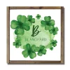 New Watercolor Clover Personalized Framed Wall Plaque St Patricks Day Decorations