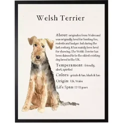 Kirklands Home Wall Quotes & Signs|Welsh Terrier Facts Framed Wall Plaque