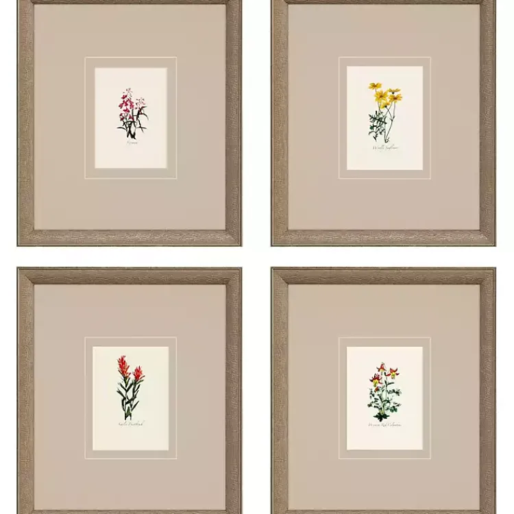 Kirklands Home Framed Art|Western Wildflower Framed Art Prints, Set of