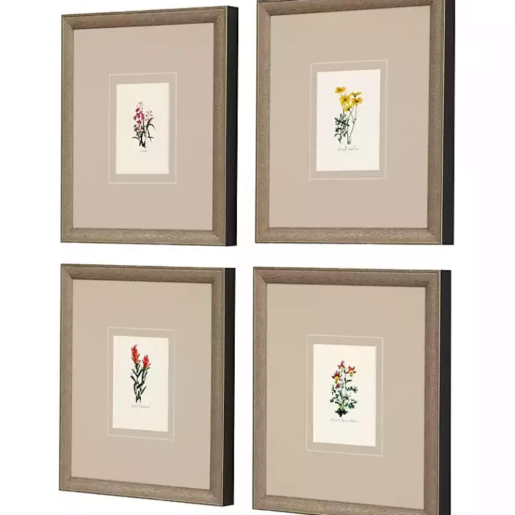Kirklands Home Framed Art|Western Wildflower Framed Art Prints, Set of