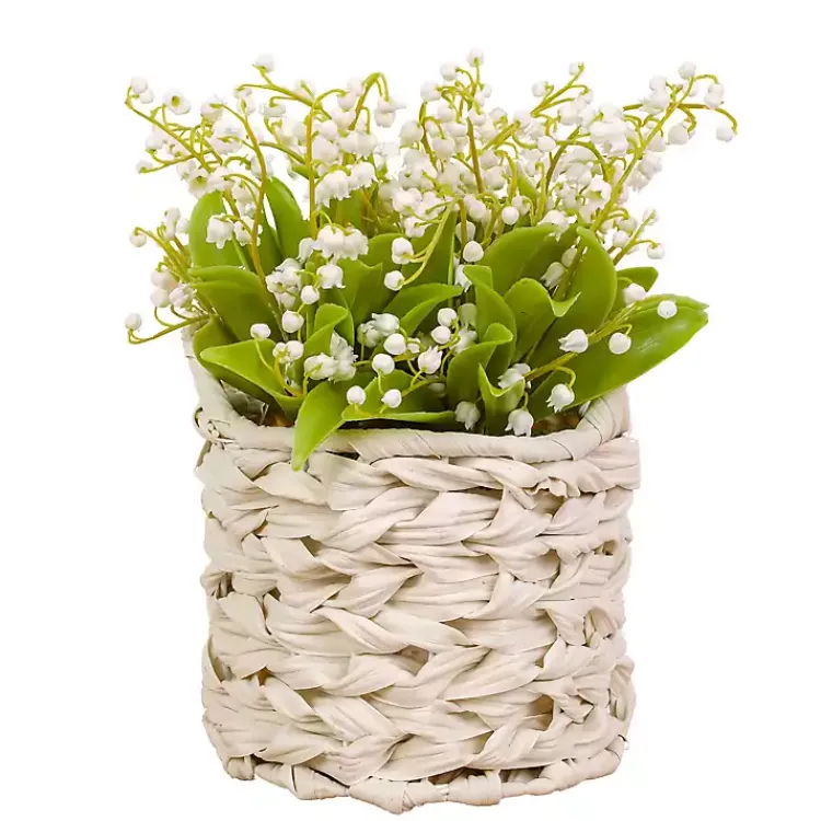 Outlet White Lily of the Valley Arrangement in Basket Arrangements & Greenery