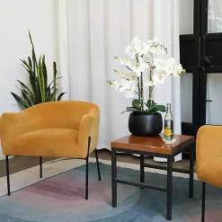 Hot White Real Touch Orchid Arrangement in Black Pot Arrangements & Greenery