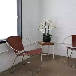 Hot White Real Touch Orchid Arrangement in Black Pot Arrangements & Greenery