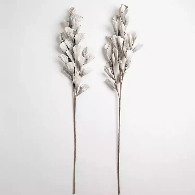 Outlet Shell Leaf Stem Stems & Bouquets