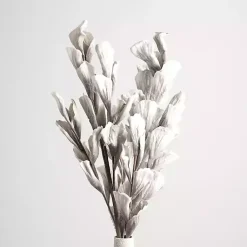 Outlet Shell Leaf Stem Stems & Bouquets