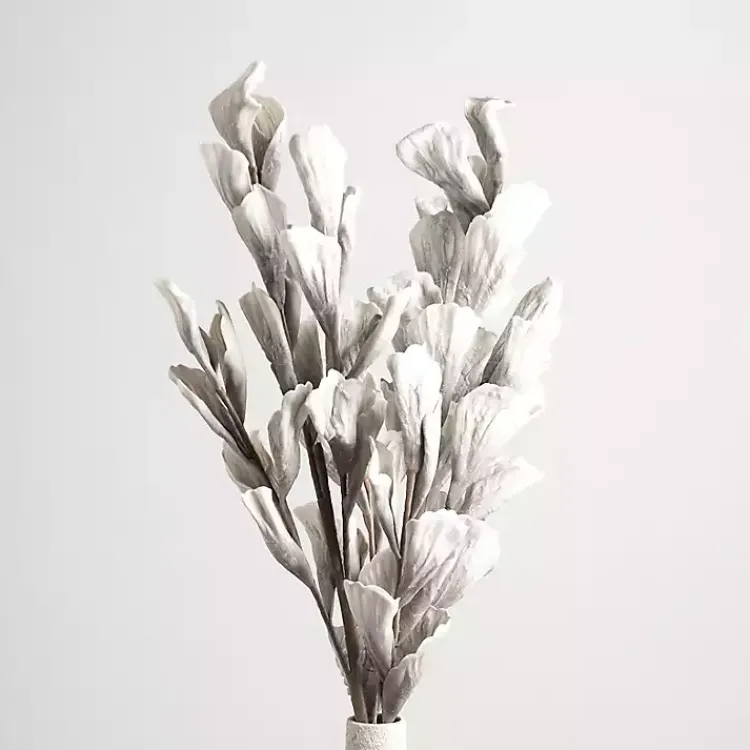 Outlet Shell Leaf Stem Stems & Bouquets