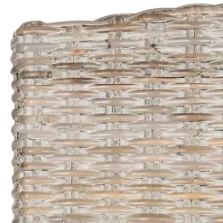 Kirklands Home Dining Chairs|Whitewashed Kubu Rattan Dining Chairs, Set of 2 Ivory