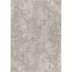 Kirklands Home Area Rugs|Whitlow Shag Washable Area Rug, 6x9 Gray