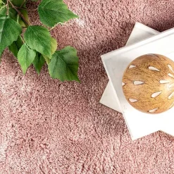 Kirklands Home Area Rugs|Whitlow Shag Washable Area Rug, 6x9 Pink