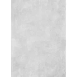 Kirklands Home Area Rugs|Whitlow Shag Washable Area Rug, 6x9 Silver