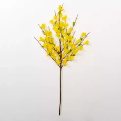 Outlet Forsythia Stem, 30 in. Stems & Bouquets