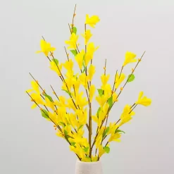 Sale Forsythia Stems, Set of 3 Stems & Bouquets