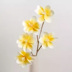 Online Japanese Magnolia Sprays, Set of 2 Stems & Bouquets