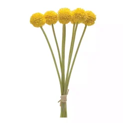 Clearance Pod Sprays, Set of 6 Stems & Bouquets