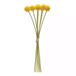 Clearance Pod Sprays, Set of 6 Stems & Bouquets