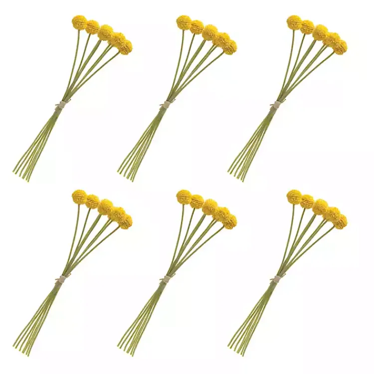 Clearance Pod Sprays, Set of 6 Stems & Bouquets