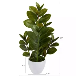Best Zamioculcas Plant in Chic White Planter Arrangements & Greenery