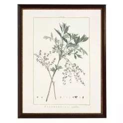 Kirklands Home Framed Art|Zanthorhiza Greenery Black Beaded Framed Art Print