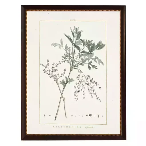 Kirklands Home Framed Art|Zanthorhiza Greenery Black Beaded Framed Art Print